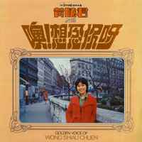星河 - 黃曉君 & The Stylers