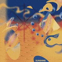 Dense Leaves - Sunshine
