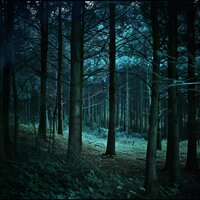 Rapsodia De Relajación Con La Lluvia - Ritmos calmantes & Naturaleza 101 & Investigación de sonidos de la naturaleza