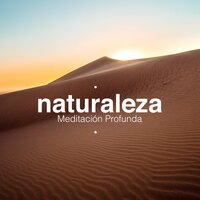 Terapia de la Música (La Mejor Música para Aliviar el Estrés) - Natureza & Meditación Maestro & Natureza & Meditación Maestro