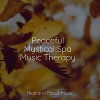 Body Connection - Tibetan Singing Bowls for Relaxation & Música para Massagem Especialistas & Meditative Music Guru