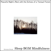 Sacred Enchantment in the Rhythms of Life - Sleep BGM Mindfulness