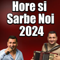 COLAJ NOU 2024 SARBE SI HORE DE PETRECERE - MIHAI DE LA CIOCANESTI