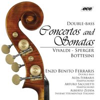 Concerto No. 2 in B Minor: I. Allegro cantabile - Insieme Strumentale Italiano & Enzo Benito Ferraris & Alberto Zedda
