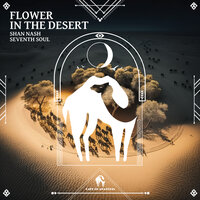 Flower in the Desert - Shan Nash & Seventh Soul & Cafe De Anatolia
