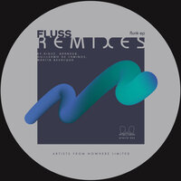 FLUNK 1 - Fluss & Brandub