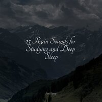 Floods of Rain - Deep Sleep Meditation & Classical Study Music & Mother Earth Sounds
