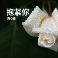 你说你累了 - 漠心藤
