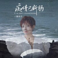 痴情已断肠 - 魏佳艺