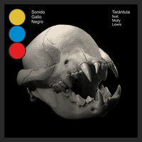 Tarántula - Sonido Gallo Negro & Molly Lewis