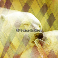 Bedsheet Whispers - Spa & Spa