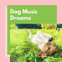 Music for Dogs While You Are Away - Dog Bedtime