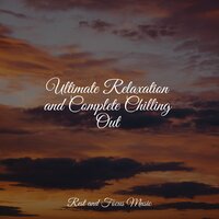 Totally Calming - Relaxing Music Therapy & Pro Sound Effects Library & Sleep Songs 101