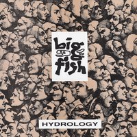 Cynical Days - Big Fish