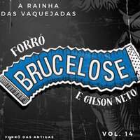 Toada do Fazendeiro - Forró Brucelose & Forró Das Antigas