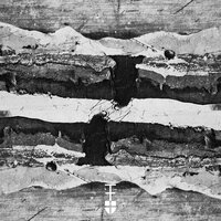 Juniper - Christoph Vogel & Tilman