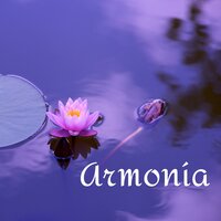 Sonidos de Agua - Serenidad y Armonía
