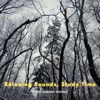 Unwind and Recline - Study Ambient Sounds