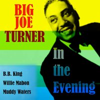 Blowin' the Fuses - Sonny Terry
