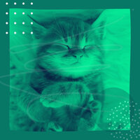 Awesome Happy Cat - Relaxing Music for Cats