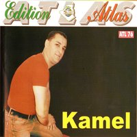 Anande alla - kamel