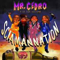 OPUS SUM STULTUS - Mr. cedro e le sue vulvone