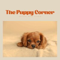 Saltwater Splash - Relaxing Music for Dogs