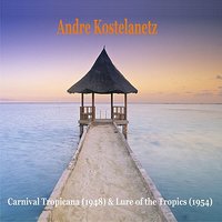 Poinciana - Andre Kostelanetz & His Orchestra