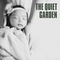 Counting Dreams - Baby Sleep Academy & Bedtime Lullabies & Soothing Lullabies