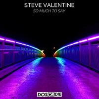 So Much to Say - Steve Valentine