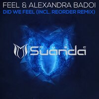 Did We Feel - Alexandra Badoi & DJ Feel