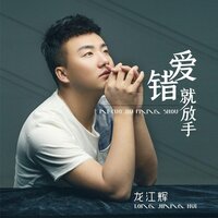 爱错就放手 - 龙江辉