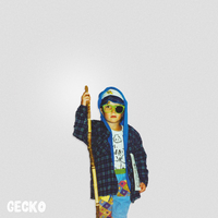 Can't Know All the Songs - Gecko