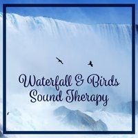 Sound Therapy - Relaxing Music Master
