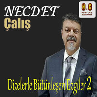 Sende Kaldı Emelim - Necdet Çalış
