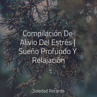 Nubes Por Encima - Piano Suave Relajante & Relajante Academia de Música Zen & Musica para Meditar Especialistas