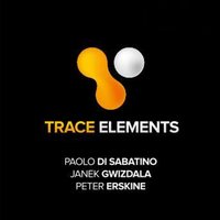 Trace Elements - Peter Erskine & Trace Elements & Paolo Di Sabatino & Janet Gwizdala