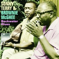 Women On My String - Sonny Terry & Brownie McGhee