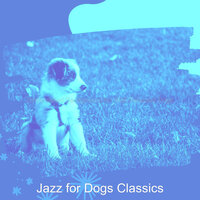 Fantastic Music for Morning Dog Walks - Jazz for Dogs Classics