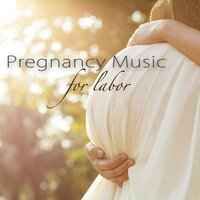 Minuet in G Major (Bach Piano Music) - Pregnancy Soothing Songs Masters & Johann Sebastian Bach