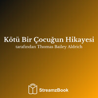 Bölüm 3 - Tayfun'un İçinde - 1 - Thomas Bailey Aldrich & StreamzBook Türkçe & StreamzBook Genç Yetişkin Türkçe