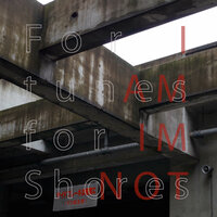 Between The Distance - Fortunes for Shores