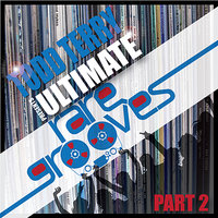 Love Of My Life (feat. Antwanette Roberson) - Antwanette Roberson & Todd Terry