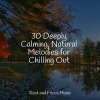 Peace Cellar - Deep Sleep Music Academy & Yoga Sounds & Deep Relaxation Meditation Academy