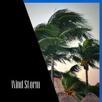 Natural Wind Sounds - ASMR Wind Channel & Wind Noise & Sleep & Wind White Noise Channel
