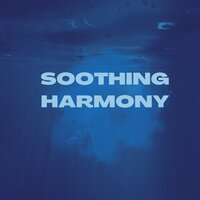 Mindful Reflection Soundscapes - Adderall Canyonly