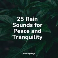 Rain, Drain, Cement, Lawn - Nature Sounds & Yoga Music & Soothing Music Academy