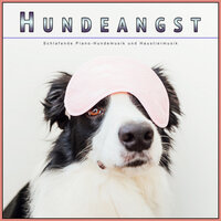 Musik für den besten Freund des Menschen - Beruhigende Musik für Hunde & Schlafende Musik für Hunde & Hundemusik