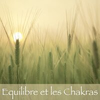 Ayurveda - le 7 chakras