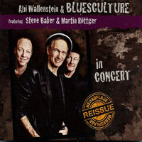 The Hip Shake - Abi Wallenstein & Blues Culture